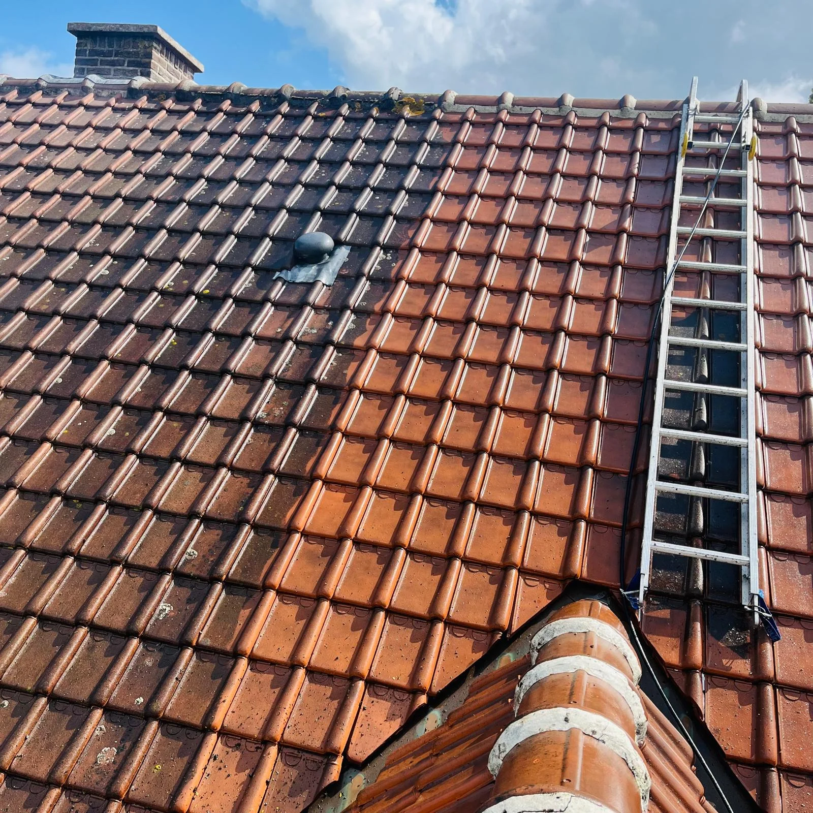 Dakonderhoud en reiniging