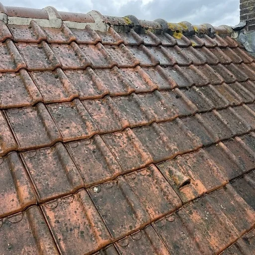 Dak na professionele ontmossing — schoon en verzorgd