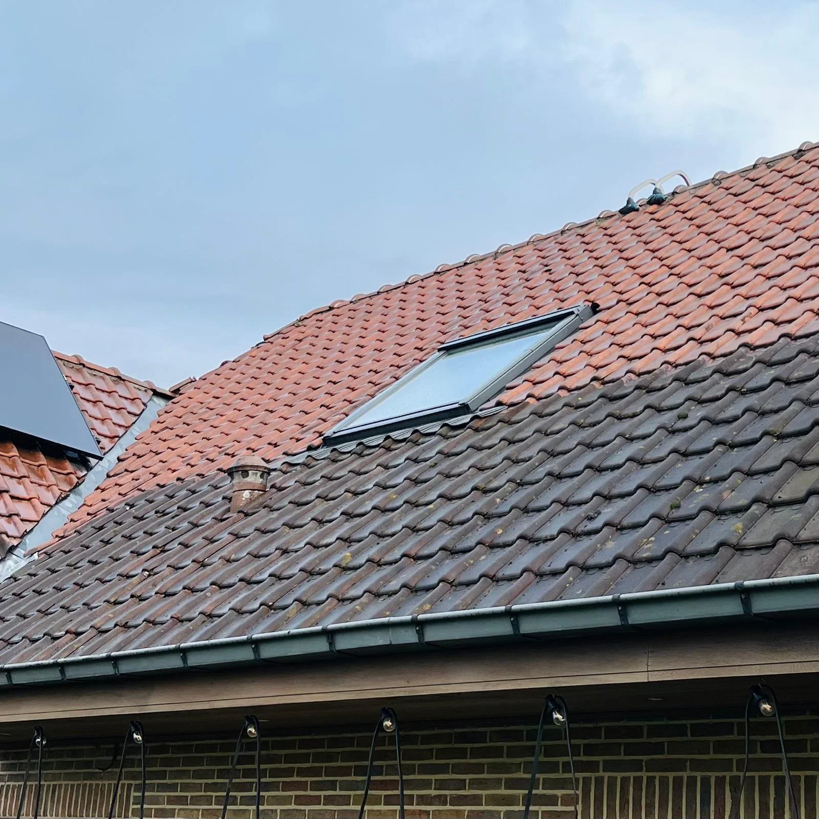 Dak na professionele ontmossing